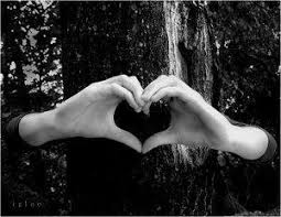 images?q=tbn:ANd9GcTUjo86XYOAVa2g1PTttld3a6YQ51kT-6SoUFRWd_SdcQNNJSN6gw