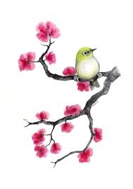 708x999 Cherry Blossom Draw Drawing Cherry Blossom Japanese Cherry Blossom Cherry Blossom Art Cherry Blossom Drawing Cherry Blossom Watercolor