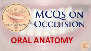 Function as a term in dentistry describes movement. Dentosphere World Of Dentistry Mcqs On Occlusion Oral Anatomy