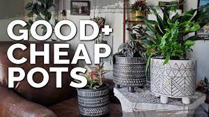 Flower pots and square plastic planting pots, plant trays, root trainers, plug propagation trays, seed trays. Cheap Plant Pots Homegoods Vs T J Maxx Vs Dollartree Youtube
