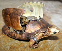 Steampunk Turtle Steampunk Animals Taxidermy Art Turtle Sculpture