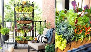 There are multiple ways to convert a pallet into a planter. 8 Diy Vertical Garden Projects For Balcony Balcony Garden Web