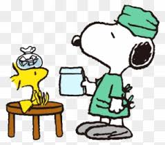 We did not find results for: Get Well Soon Quotes In Spanish Get Well Soon Cute Free Transparent Png Clipart Images Download