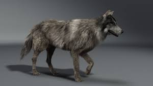 Pin By Top 3d Models On 3d Assets Wolf 3d Lab Dogs Wolf