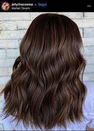 Il castano cioccolato è la tinta da provare per un inverno 2021 all'insegna di un colore di capelli caldo e fondente. Castano Cioccolato Inverno 2021 La Tinta E Deliziosa Amica