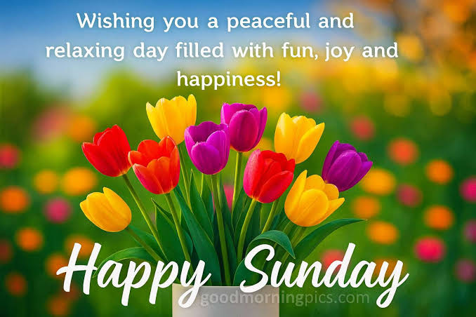 Happy Sunday with tulips and happiness | goodmorningpics.com