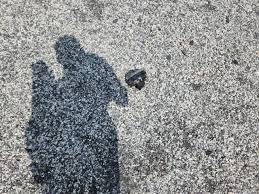 Image result for Dark Shadow Gray 2006 Escape