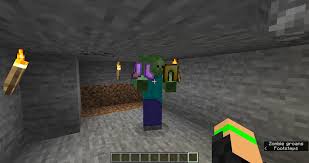 Can baby zombie piglins wear . Found This Zombie With Armor I Don T Know How This Happened But That S Not How You Are Supposed To Use It Minecraft