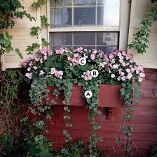 Terrasse Gestalten Mit Einem Hubschen Olivenbaum Fensterbox Blumen Blumen Im Blumentopf Fensterkasten