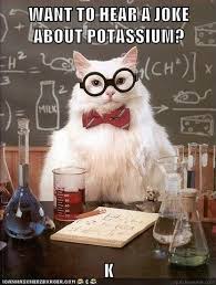 Want To Hear A Joke About Potassium K Nerdy Jokes Chemistry Cat Nerd Humor