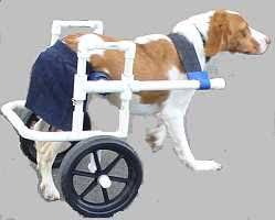 Dog Wheelchairs Dog Wheelchair Diy Dog Wheelchair Diy Dog Stuff