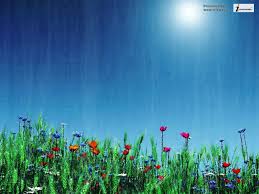 Beautiful scenery beautiful flowers beautiful flowers scenery scenery flowers high definition picture blue sky clouds petals sky sun white clouds water green leaves landscapes landscape grass high definition pictures fresh flowers light rocks mountains beautiful natural scenery flower. Free Download Beautiful Flower Scenery Wallpapers Beautiful Scenery Flower 1024x768 For Your Desktop Mobile Tablet Explore 48 Flower Scenery Wallpaper Background Wallpaper Flowers Live Flower Wallpaper Beautiful Scenery Wallpaper Flower