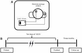 Frontiers Long Term Transcranial Direct Current