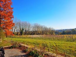 Hohenheimer Garten Parkanlage Bilder Garten