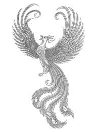 Image result for Phoenix