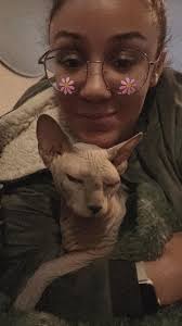 Introduction to Sphynx kitty Cinder and breed discussion