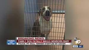 Family Dog Mauls Newborn Baby To Death Youtube