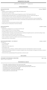 Day to day professional sales training of desk and field teams. Uk Sales Manager Resume Sample Mintresume