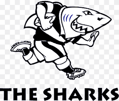 This background images is free for your desktop and mobile device. 2018 Super Rugby Season Sharks Bulls 2017 Super Rugby Season South Africa National Rugby Union Team Rugby White Mammal Animals Png Pngwing