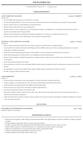 (+ also get access to 1000 other cv templates). Audit Assistant Resume Sample Mintresume