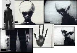 Real Documented Alien Theasgproject Alien Pictures Alien Photos Aliens And Ufos