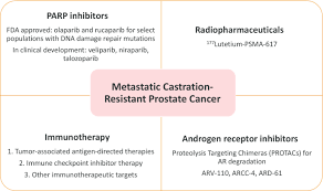 The main pathway for treating metastatic prostate cancer (mcap) focuses on starving the disease of testosterone (androgen). Novel Therapies Are Changing Treatment Paradigms In Metastatic Prostate Cancer Journal Of Hematology Oncology Full Text