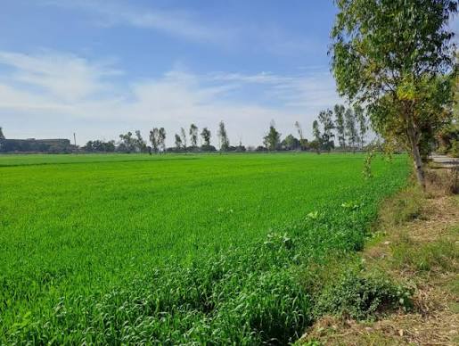چه مناطقی آینده رشد بیشتری دارند؟-3 