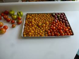 Maybe you would like to learn more about one of these? Most Productive Heirloom Tomato You Ve Grown General Gardening Growing Fruit