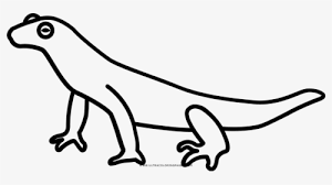 You might also be interested in coloring pages from newt category. Newt Coloring Page Imagen De Un Triton Para Colorear Hd Png Download Kindpng