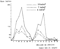 Résultat de recherche d'images pour "hapas meme"