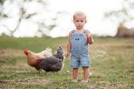 Down On The Farm Dream Session The Scheel Family