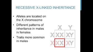 Patterns Of Inheritance Youtube