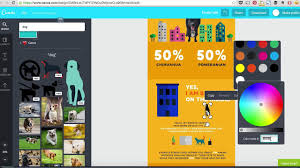 12 Best Infographic Makers For Building An Infographic From