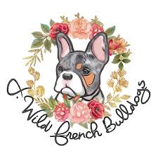 French bulldog puppies for sale. J Wild French Bulldogs