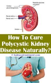 Pin On What Is Kidney Disease