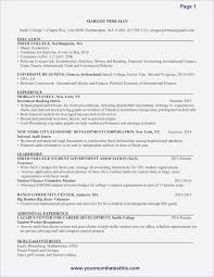 Internship Resume Sample Resume Skills Resume Template Free Nursing Resume