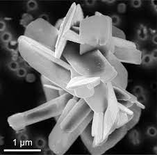How Do Dust Particles Affect The Human Lung Health Risk In The Air Offentlichkeitsarbeit Und Beziehungsman Things Under A Microscope Clay Minerals Plant Life