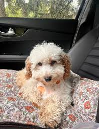 All smiles over here 😁