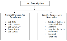 Job specification specifies information about the skills or qualities required for doing the job. General And Specific Purpose Of Job Description