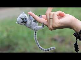 10 Cutest Exotic Animals You Can Own As Pets Youtube