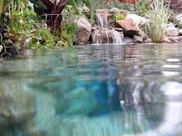 Can someone tell me how to do it? How To Build A Hybrid Pond All The Steps From Design To Finished Pond Russell Watergardens Koi