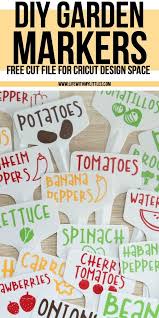 Diy Garden Markers Garden Markers Diy Garden Different Fruits And Vegetables