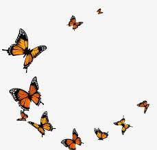 Pin By Gillian Markovich On Tattoos Butterflies Flying Butterfly Gif Transparent Background