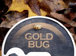 How to use the gold detector? 6 Reasons You Should Be Using Small Detector Coils For Nugget Hunting Raregoldnuggets Com