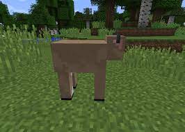 Check spelling or type a new query. Minecraft Farm Animals Mod 2021 Download
