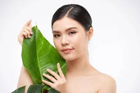 Imagens de Bálsamo vietnamita sem royalties