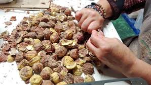De La Chataigne A La Farine Aux Marrons Glaces Et A La Creme De Marrons