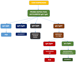 Created by david mccandless, omid kashan, fabio bergamaschi, dr stephanie starling, univers labs, nueker, tom evans. Https Www Salud Gob Ec Wp Content Uploads 2020 04 Protocolo De Uso De Pruebas R C3 A1pidas Para Detecci C3 B3n De Anticuerpos Contra Sars Cov 2covid 19 V2 20 04 2020 Pdf