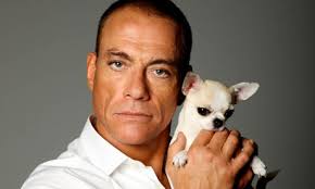 Where is Jean-Claude Van Damme? We were supposed to meet in London, until he cancelled his trip at the last minute. Then I was to visit him on a film set in ... - Jean-Claude-Van-Damme-008