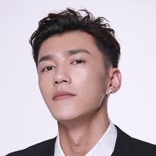 All Li Cen Yi series and films